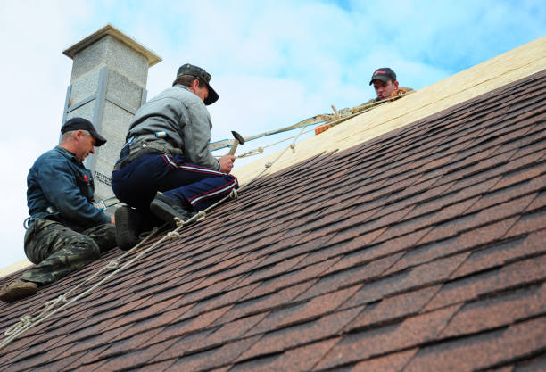 Professional Roofing Contractor in Plano, KY